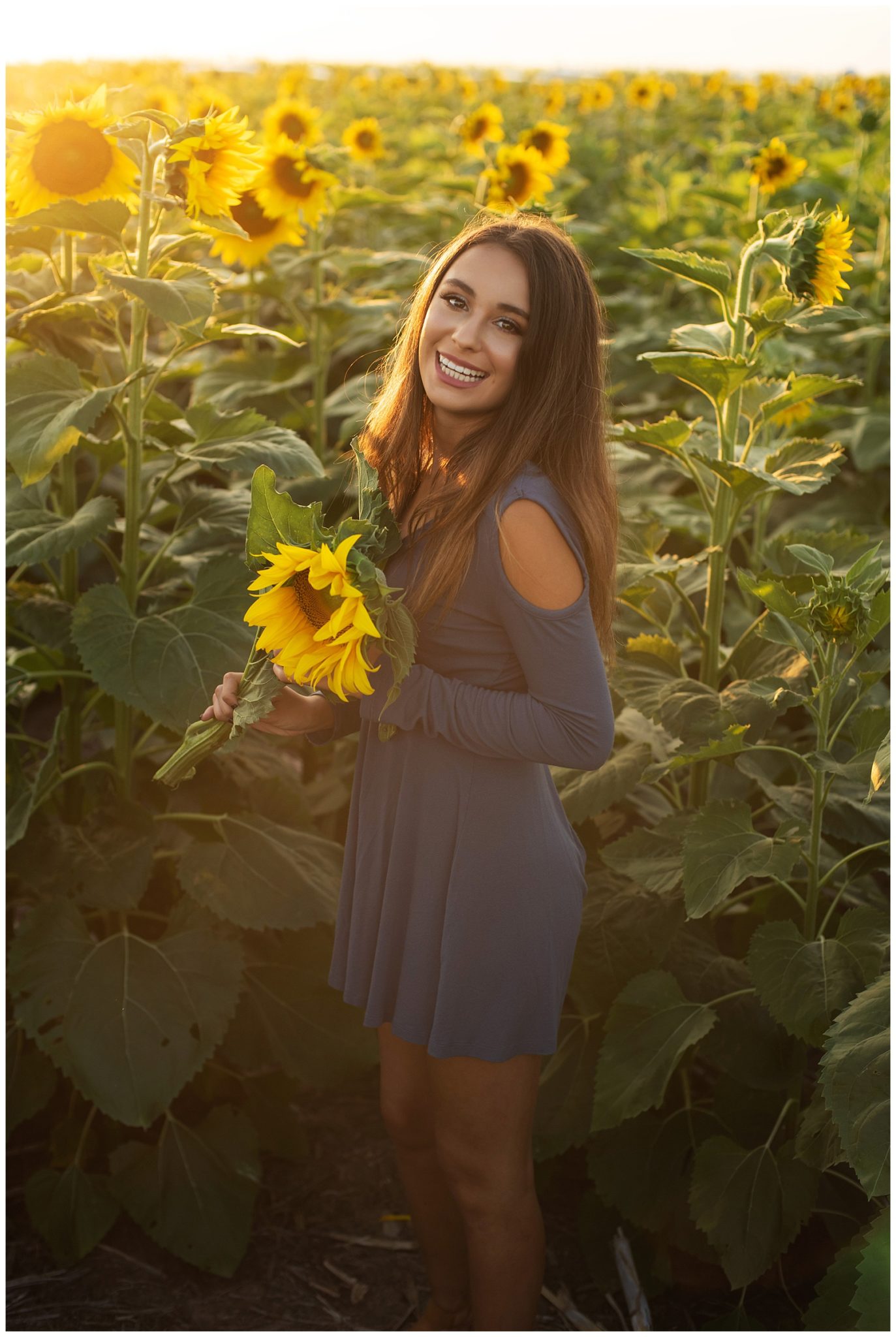 Sunflower Field Senior Photos