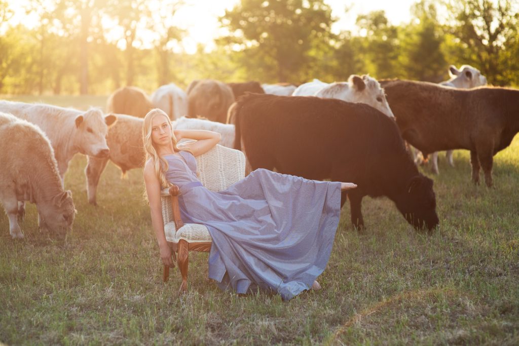 high school senior girl in blue prom dress sitting in a chair with cows around her